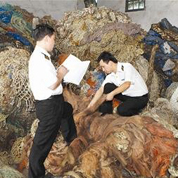 &ldquo;洋垃圾&rdquo;為何有恃無(wú)恐