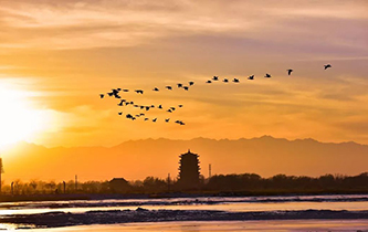 你想看的風(fēng)景，這里都有